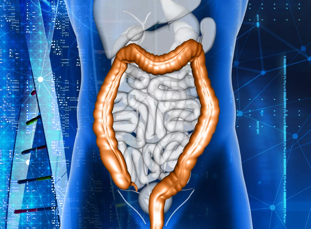 Imagen referencial. Una bacteria intestinal que contiene ácido sulfúrico puede proteger al organismo de la salmonella. Foto: Freepik