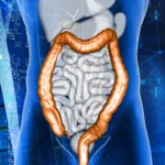 Imagen referencial. Una bacteria intestinal que contiene ácido sulfúrico puede proteger al organismo de la salmonella. Foto: Freepik