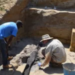 Los humanos ya construían estructuras de madera hace medio millón de años, antes de lo que se creía, según un nuevo estudio elaborado por expertos de las universidades de Liverpool y de Aberystwyth. Foto: University of Liverpool