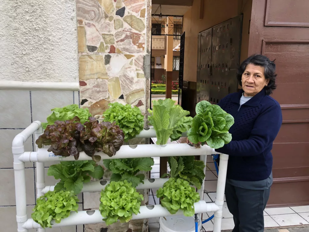 La venta de plantas es uno de los emprendimientos que promueven las religiosas que administran el Hogar Miguel León para conseguir fondos. / FCS
