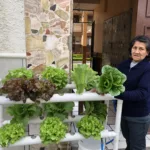 La venta de plantas es uno de los emprendimientos que promueven las religiosas que administran el Hogar Miguel León para conseguir fondos. / FCS