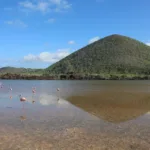 En la isla Floreana de Galápagos inicia un proceso paulatino de reintroducción de doce especies endémicas localmente extintas.