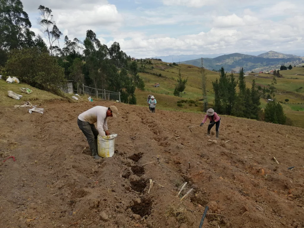 La familia de Patricio Pucha durante la siembra de maíz el reciente fin de semana en la comunidad Chilcachapar, Taqui, a la espera de lluvias. /FCS