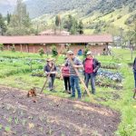 El sistema ‘Campo Seguro’, un tipo de aseguramiento agropecuario para pequeños y medianos productores, fue habilitado.