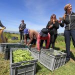 La Usaid lanzó una iniciativa público-privada para mejorar las condiciones de vida de unos 800 agricultores de Ecuador.