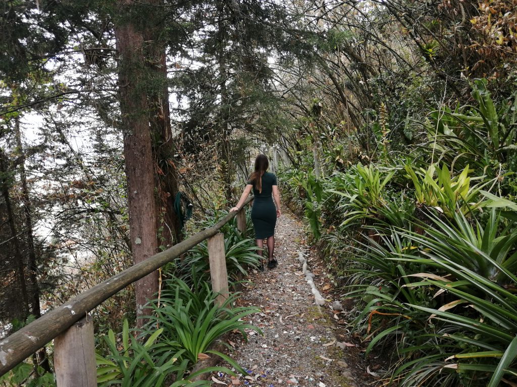 Vista del sendero dentro del jardín de la familia Vega, localizado en la parroquia Turi. /FCS