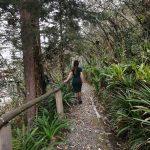 Vista del sendero dentro del jardín de la familia Vega, localizado en la parroquia Turi. /FCS