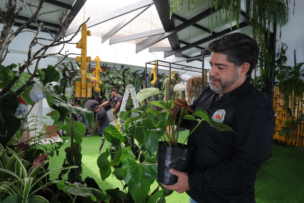 Ecuagenera orquídeas