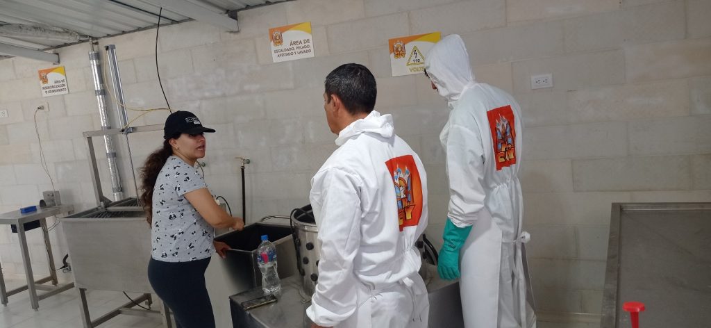 En la planta de “Mr. Cuy” se realizan pruebas e incluso muchas personas la visitan para conocer sobre el proyecto. Cortesía