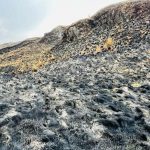 El último fin de semana se produjo un incendio forestal de proporciones en Chanlud, cuenca alta del río Machángara.