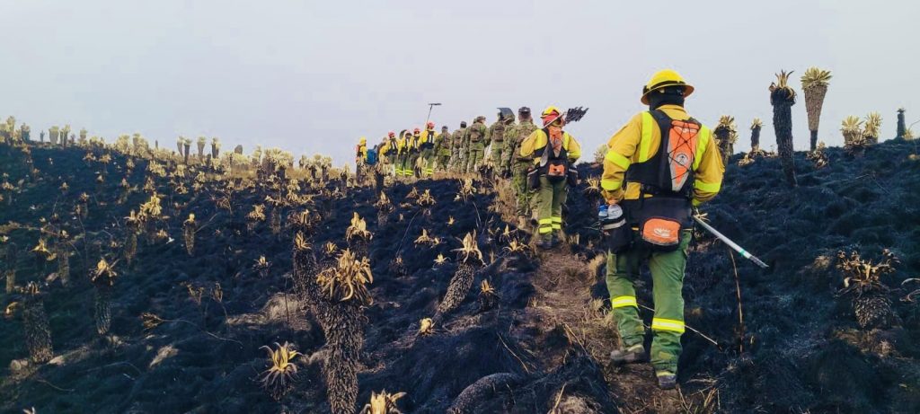Más de 160 bomberos siguen en las labores para controlar el incendio forestal en la reserva ecológica El Ángel, en Carchi.