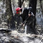 Un bombero trata de control uno de los focos de incendio.