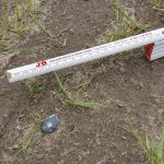 El Museo de Historia Natural de Berlín comunicó el hallazgo hoy de dos posibles fragmentos, casi del tamaño de una nuez, del asteroide 2024 BX1 que ardió en la noche del 20 al 21 de enero en el cielo sobre la localidad de Nennhausen, a unos 70 kilómetros de la capital alemana.EFE