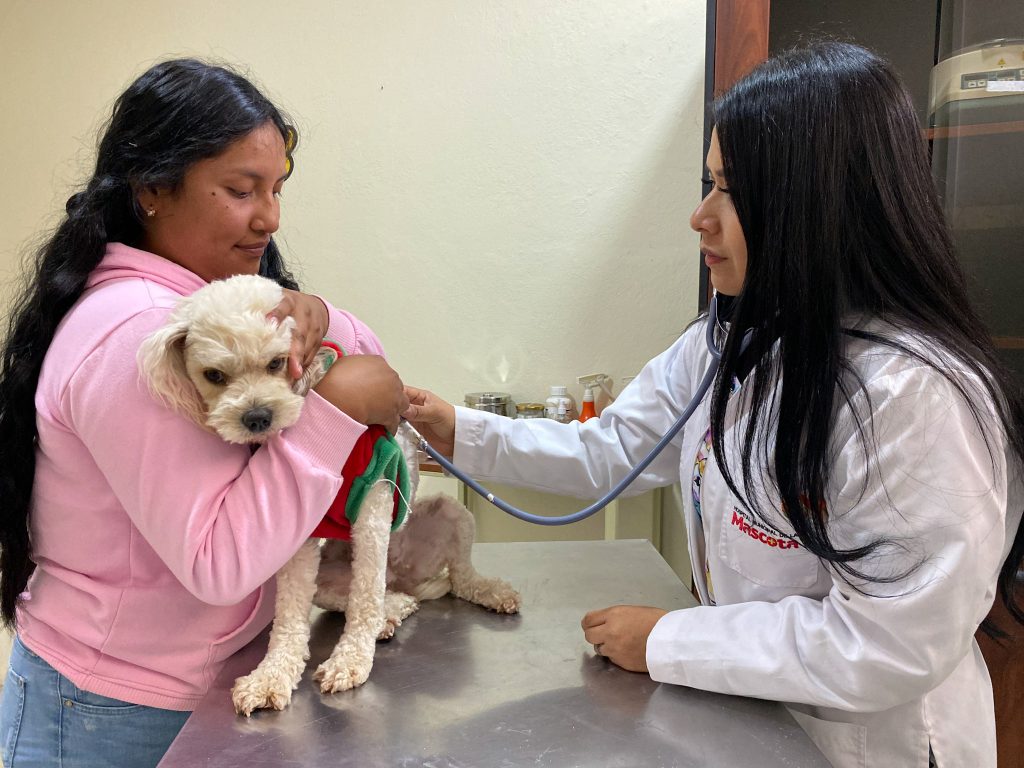 Jaqueline Carrión llevó ayer a su mascota para que reciba atención de Paola Albán, veterinaria del hospital. XCA
