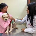 Jaqueline Carrión llevó ayer a su mascota para que reciba atención de Paola Albán, veterinaria del hospital. XCA