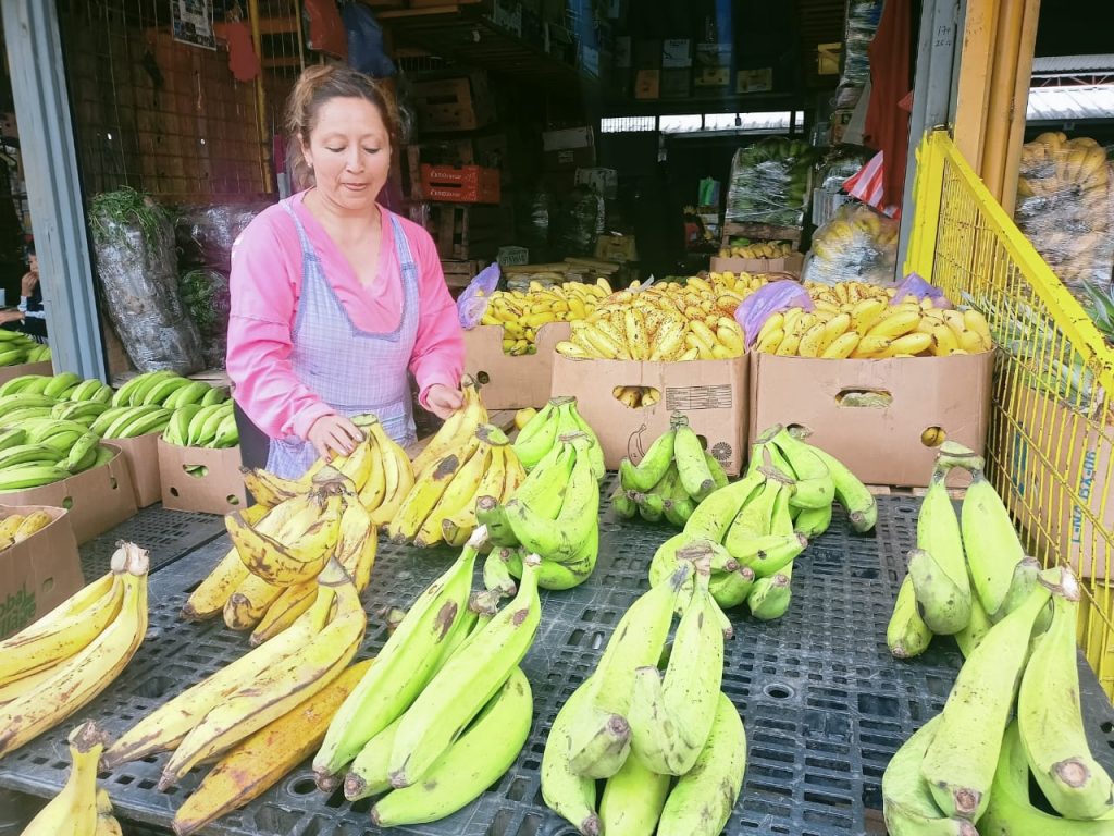 El platano verde bajó de precio en la Feria Libre, principal centro de abastos de Cuenca. Foto XCA