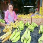El platano verde bajó de precio en la Feria Libre, principal centro de abastos de Cuenca. Foto XCA