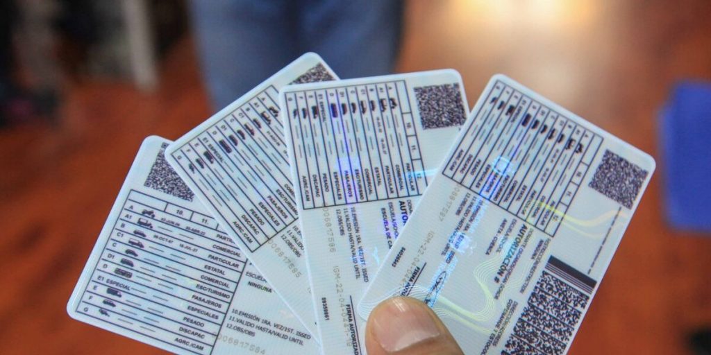 La Agencia Nacional de Tránsito es la entidad encargada de la emisión de licencias de conducir y otros trámites vinculados al transporte.
