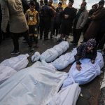 Al menos 113 gazatíes han muerto y 205 han resultado heridos en las últimas 24 horas en la Franja de Gaza por bombardeos israelíes
