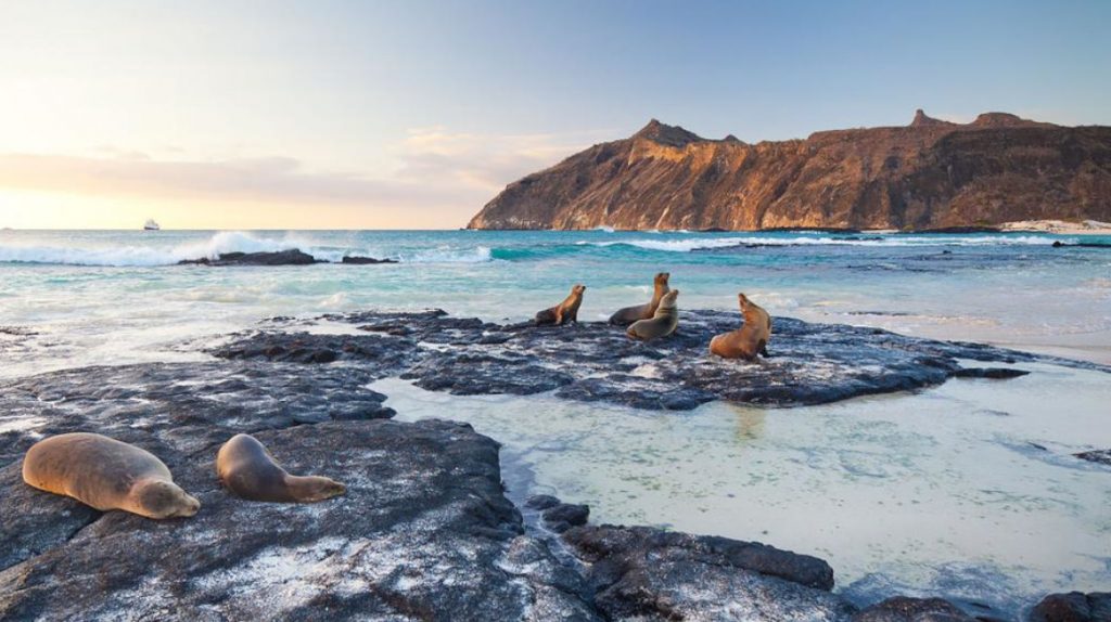 El ingreso a las Islas Galápagos subirá de precio para turistas locales y extranjeros para invertir en la conservación del ecosistema. Foto EFE