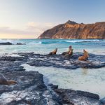 El ingreso a las Islas Galápagos subirá de precio para turistas locales y extranjeros para invertir en la conservación del ecosistema. Foto EFE