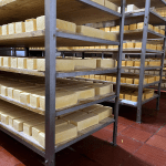 En Ecuador el sector lácteo ocupa un dinamismo importante en la economía del país, ya que representa el 1% del PIB y el 4% del PIB Agropecuario.