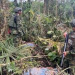 La minería ilegal depredó un total 784 hectáreas de bosques selváticos solo en 2023 en la zona del río Punino.