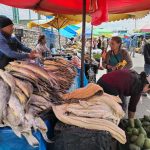 En El Arenal se venden los pescados “lisa” y de “bacalao”. Las amas de casa los compran a diferentes precios. BPR