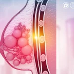 - Investigadores de la Universidad de Cambridge han creado el mayor catálogo de células mamarias humanas,