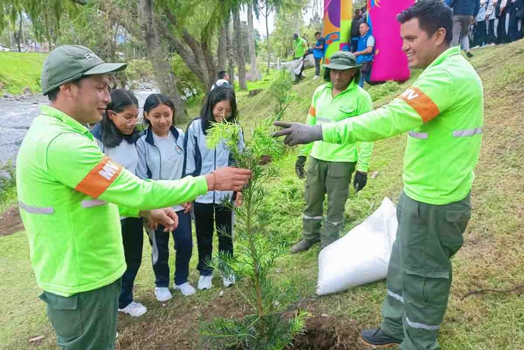 Un total de 100.000 plantas serán sembradas en Cuenca y otros rincones del Azuay como parte de la campaña “Siembratón es vida 2024”.