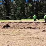 Los perros, gatos y otras mascotas de compañía que están en situación de abandono tendrán un nuevo refugio en la parroquia Cumbe.