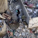 Hamás pide al Consejo de Seguridad que presione a la ocupación (Israel) para que cumpla el alto el fuego y detenga la guerra de genocidio y la limpieza étnica contra nuestro pueblo