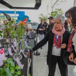 Una exposición de flores se puede disfrutar en la edición 12 de la Exposición Estándar de Flores en el Concesionario Metrocar Chevrolet.