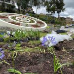 Parques y áreas verdes serán intervenidas, como en el redondel de la avenida Primero de Mayo. XCA
