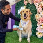Los Spa para mascotas son una tendencia que crecen en Cuenca con una amplia gama de servicios diseñados para satisfacer las necesidades físicas y emocionales de los peluditos.