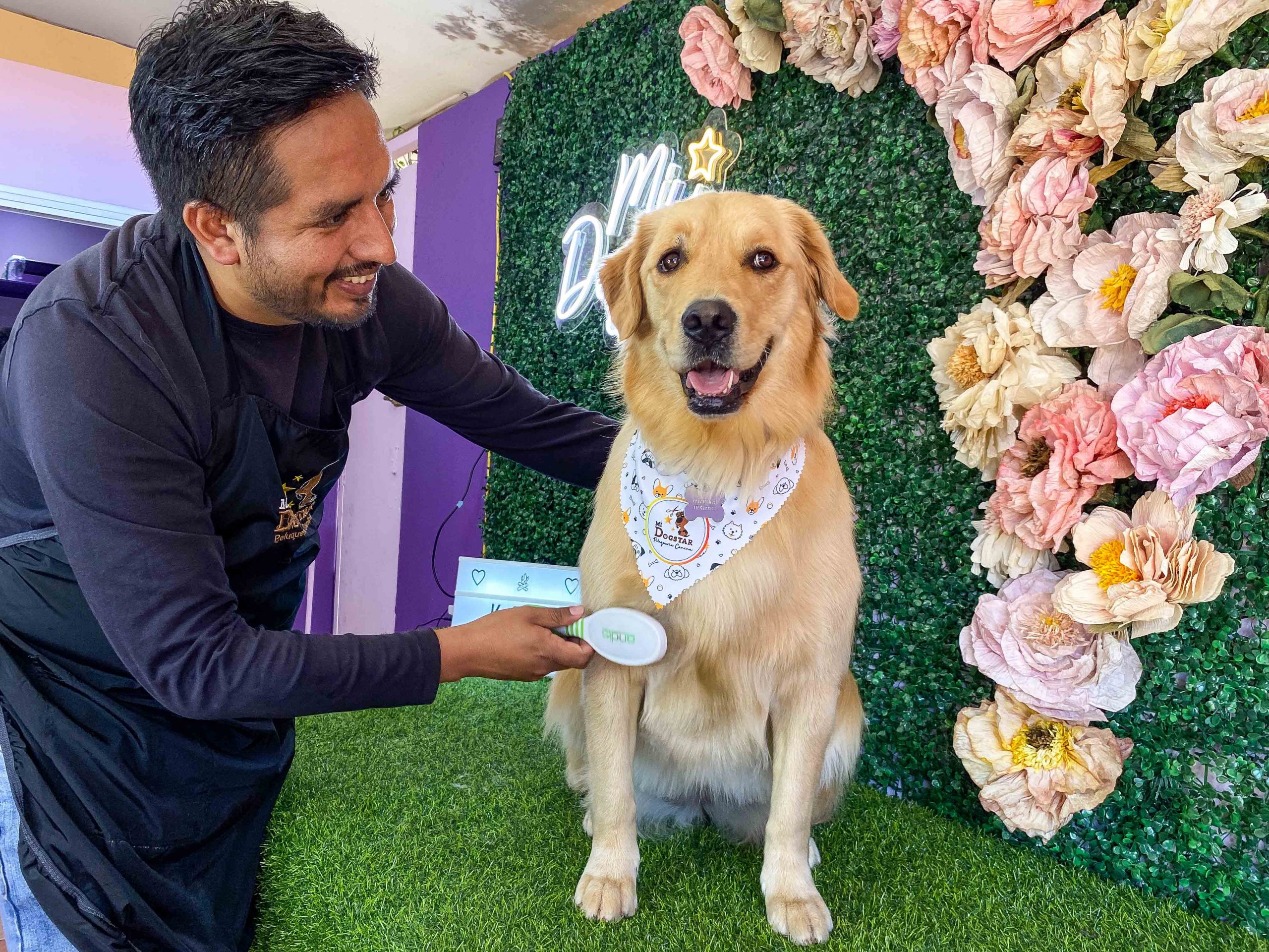 Los Spa para mascotas son una tendencia que crecen en Cuenca con una amplia gama de servicios diseñados para satisfacer las necesidades físicas y emocionales de los peluditos.