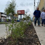 La avenida 10 de Agosto se convirtió en el primer corredor ecológico del proyecto municipal. Sin embargo, está pendiente un tramo. XCA