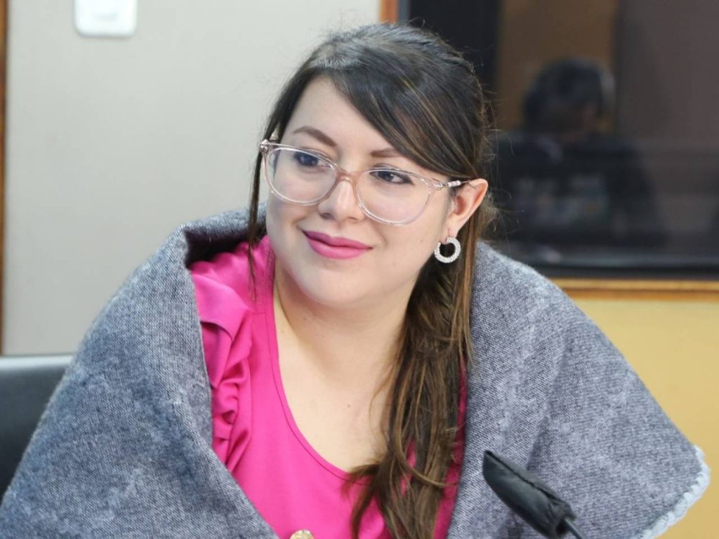 El Gobierno Nacional culpa a la exministra Andrea Arrobo y funcionarios del Ministerio de Energía de ocultar información. Foto Internet