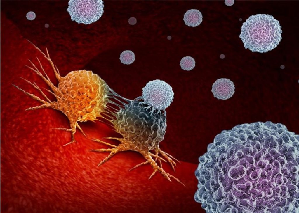 El estudio que publica Science Translational Medicine explica cómo la terapia activa la microglía, que son células del sistema nervioso central las cuales actúan como parte del sistema inmunitario.