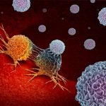 El estudio que publica Science Translational Medicine explica cómo la terapia activa la microglía, que son células del sistema nervioso central las cuales actúan como parte del sistema inmunitario.