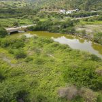 De acuerdo con la Fundación La Iguana esta es parte de la zona protegida que pretenden afectar en Olón con el proyecto ECHO.