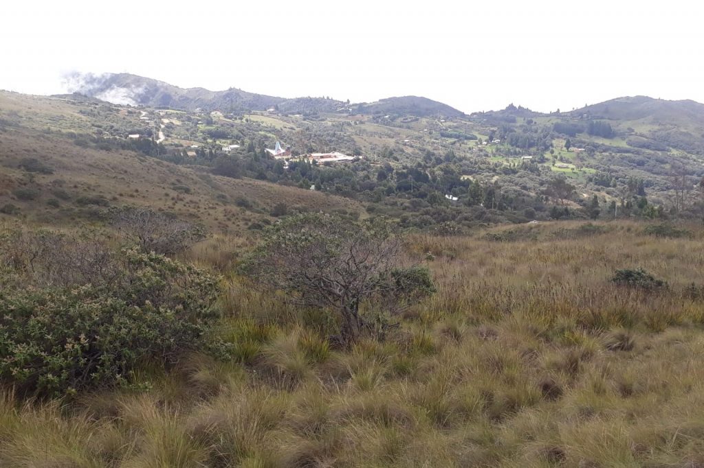 Durante la visita turística se prevé llegar a la comunidad de Cochapamba, en Molleturo.