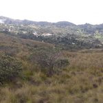 Durante la visita turística se prevé llegar a la comunidad de Cochapamba, en Molleturo.