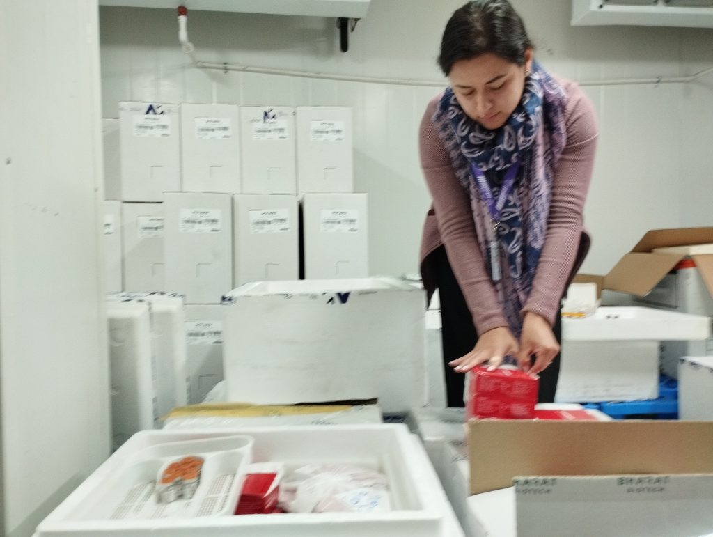 En el Banco de Vacunas de la Coordinación Zonal 6 del MSP se espera la llegada de más vacunas COVID 19 para continuar con el proceso que inició en mayo. BPR