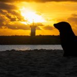 Cuenca Islas Galápagos