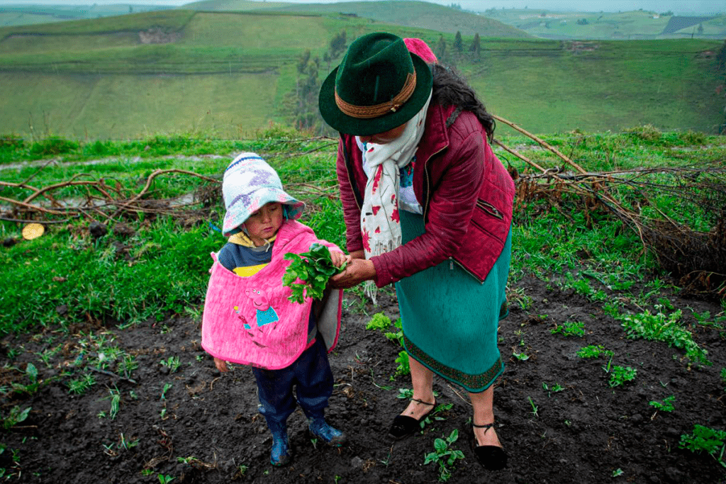 En Ecuador uno de cada cinco menores de 2 años sufre desnutrición crónica infantil, según la Unicef. Foto Unicef
