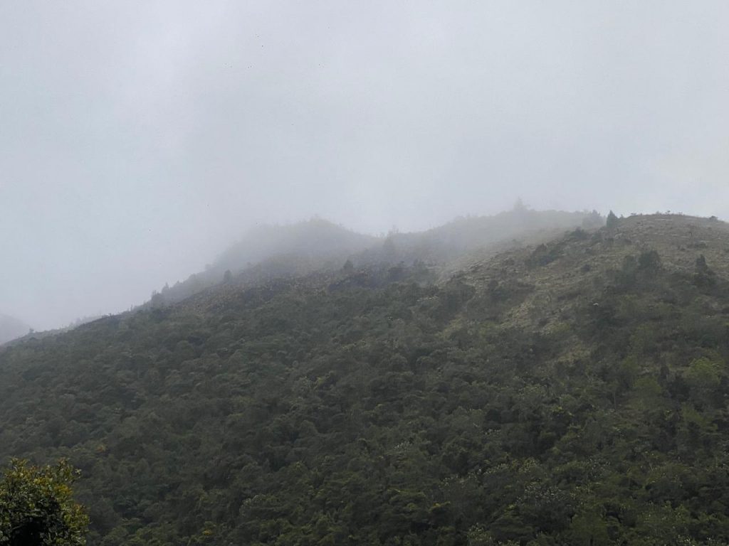 incendio forestal san joaquin