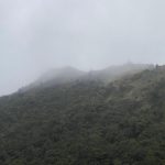 incendio forestal san joaquin