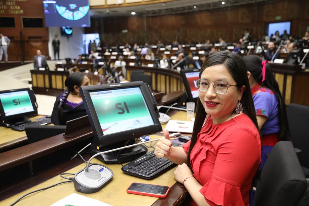 Con 96 votos, la Asamblea Nacional aprobó fiscalizar los presuntos abusos cometidos por el Sindicato de Trabajadores del IESS, liderado por Rosa Argudo.