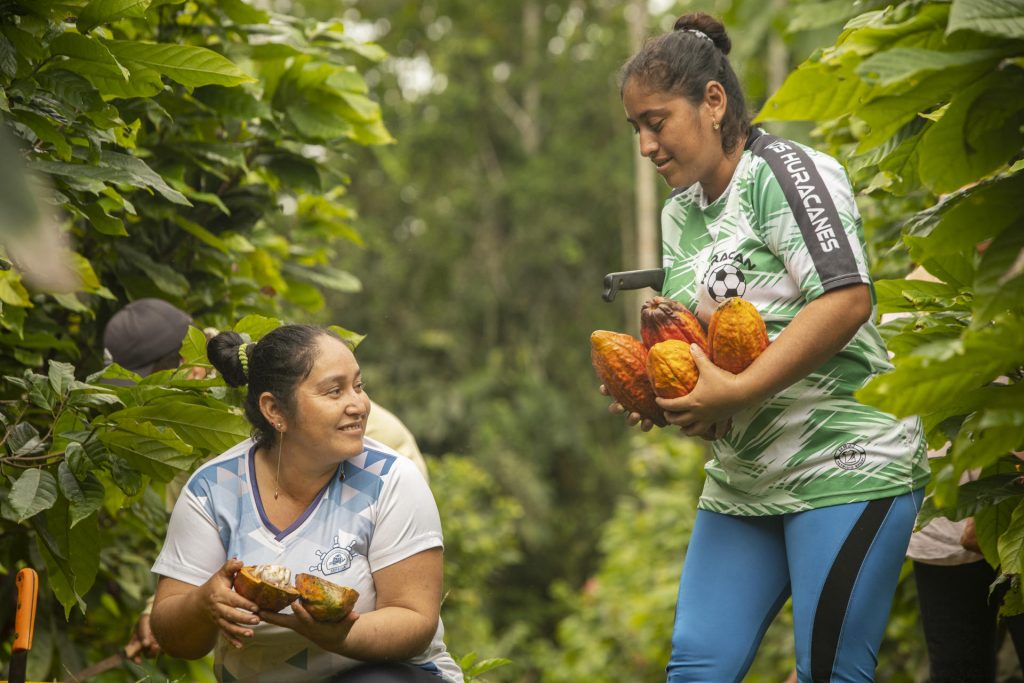Ecuador se consolida como uno de los países pioneros en el mundo en la producción libre de deforestación y tiene al café y al cacao como sus grandes emblemas. Foto EFE